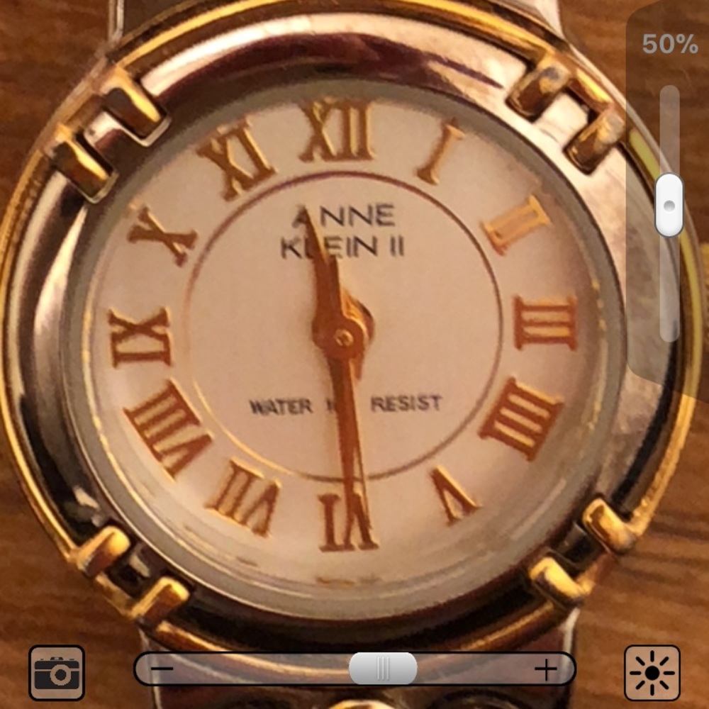 Anne Klein II two tone watch